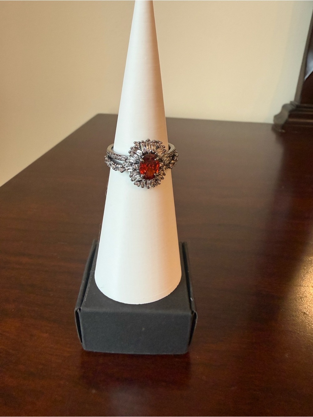 Bomb Party January 2026 Ring
Garnet Red Cubic Zirconia Ring Size 9